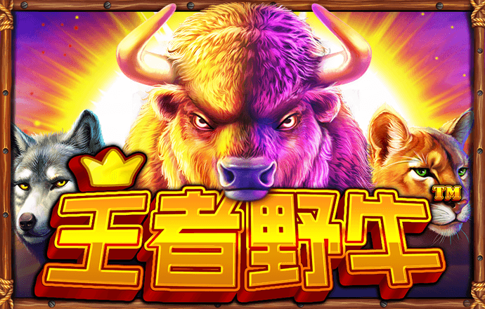 b体育官方app下载最新版